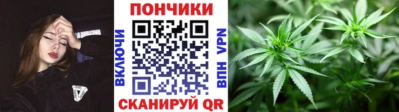 Бошки марихуана марихуана  Каменка 